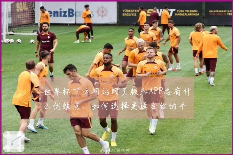 世界杯下注网站网页版和APP各有什么优缺点，如何选择更适合你的平台？