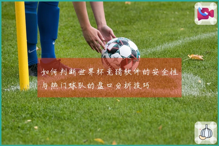 如何判断世界杯竞猜软件的安全性与热门球队的盘口分析技巧