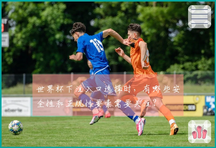 世界杯下注入口选择时，有哪些安全性和正规性要素需要关注？