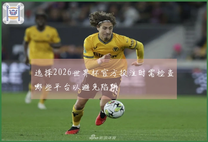 选择2026世界杯官方投注时需检查哪些平台以避免陷阱