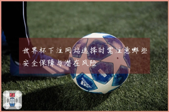世界杯下注网站选择时需注意哪些安全保障与潜在风险