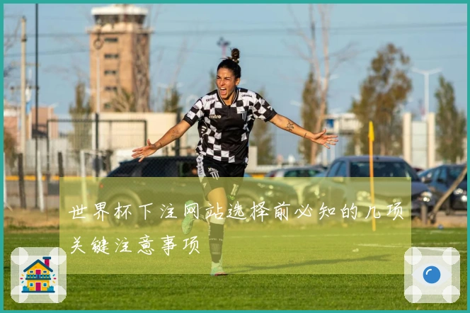 世界杯下注网站选择前必知的几项关键注意事项