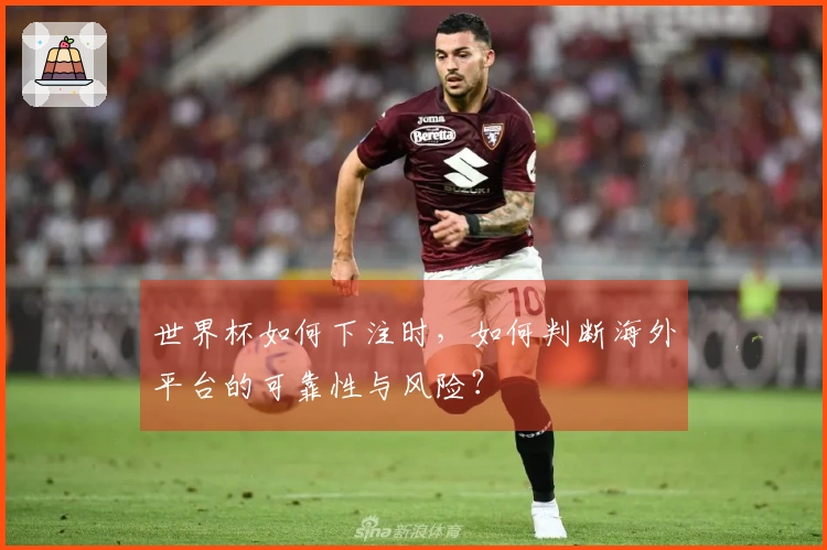世界杯如何下注时，如何判断海外平台的可靠性与风险？