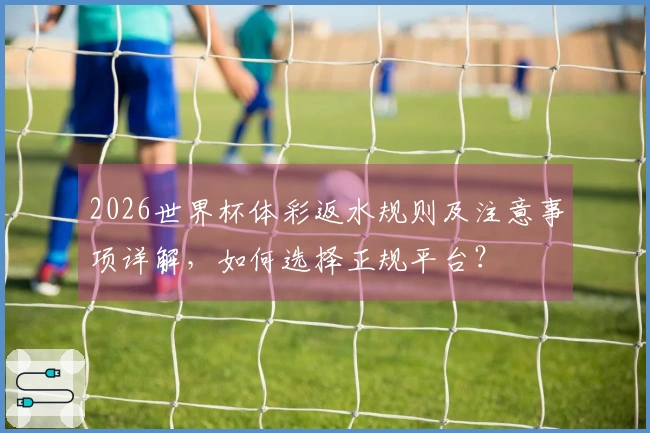 2026世界杯体彩返水规则及注意事项详解，如何选择正规平台？