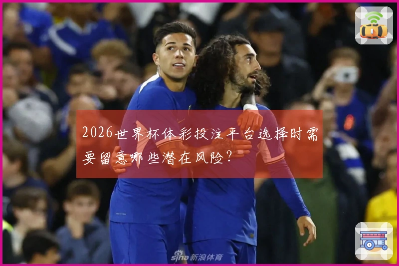 2026世界杯体彩投注平台选择时需要留意哪些潜在风险？