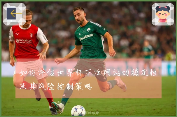 如何评估世界杯下注网站的稳定性及其风险控制策略