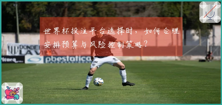 世界杯投注平台选择时，如何合理安排预算与风险控制策略？