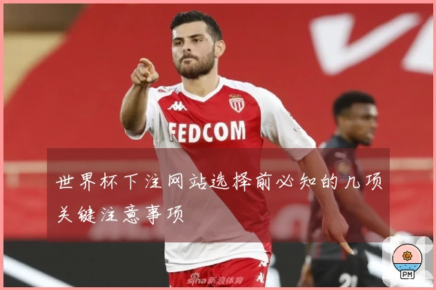 世界杯下注网站选择前必知的几项关键注意事项