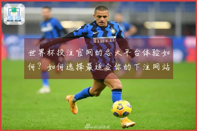 世界杯投注官网的各大平台体验如何？如何选择最适合你的下注网站？