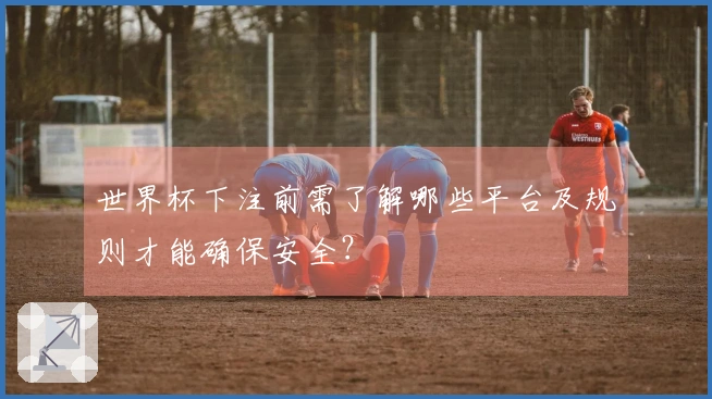 世界杯下注前需了解哪些平台及规则才能确保安全？