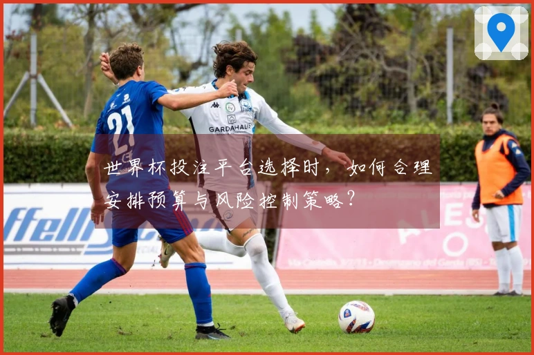 世界杯投注平台选择时，如何合理安排预算与风险控制策略？