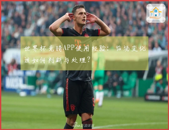 世界杯竞猜APP使用经验：临场变化该如何判断与处理？