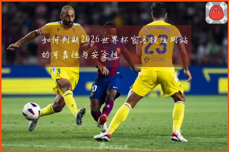 如何判断2026世界杯官方投注网站的可靠性与安全性