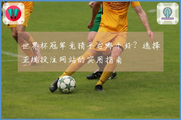 世界杯冠军竞猜平台哪个好？选择正规投注网站的实用指南