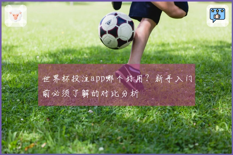 世界杯投注app哪个好用？新手入门前必须了解的对比分析