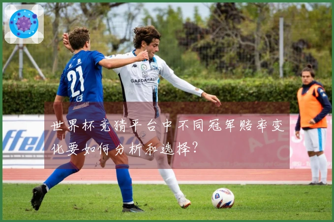 世界杯竞猜平台中不同冠军赔率变化要如何分析和选择？