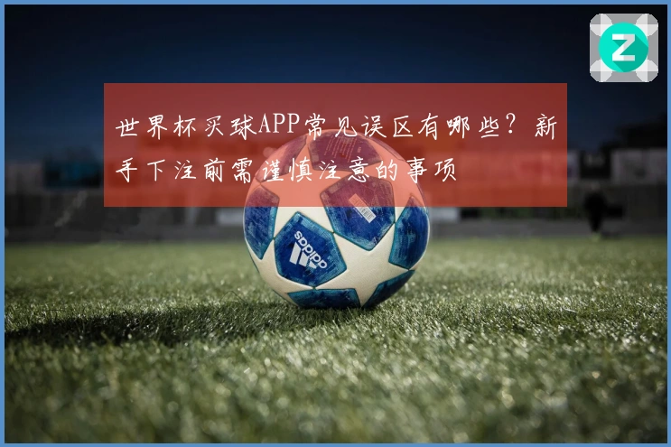 世界杯买球APP常见误区有哪些？新手下注前需谨慎注意的事项
