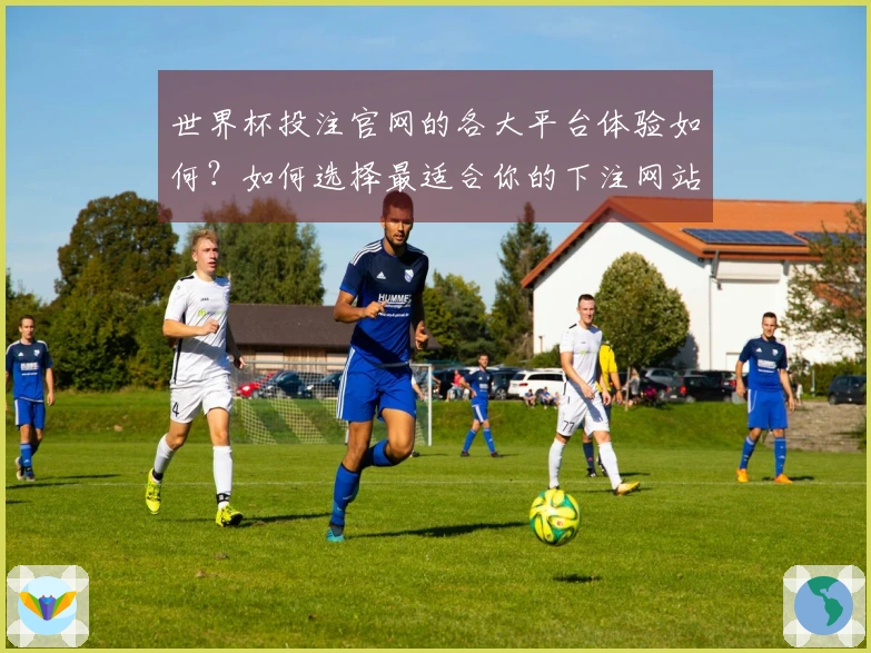 世界杯投注官网的各大平台体验如何？如何选择最适合你的下注网站？