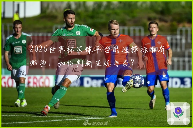 2026世界杯买球平台的选择标准有哪些，如何判断正规与否？