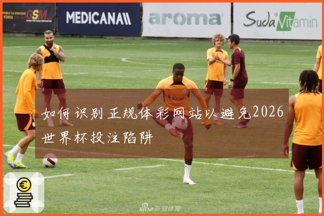 如何识别正规体彩网站以避免2026世界杯投注陷阱