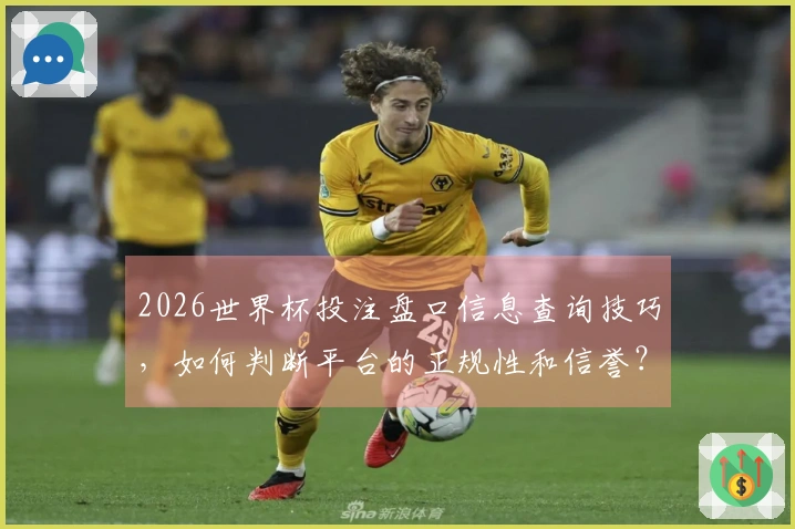 2026世界杯投注盘口信息查询技巧，如何判断平台的正规性和信誉？