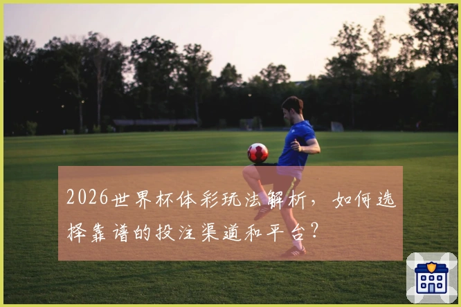 2026世界杯体彩玩法解析，如何选择靠谱的投注渠道和平台？