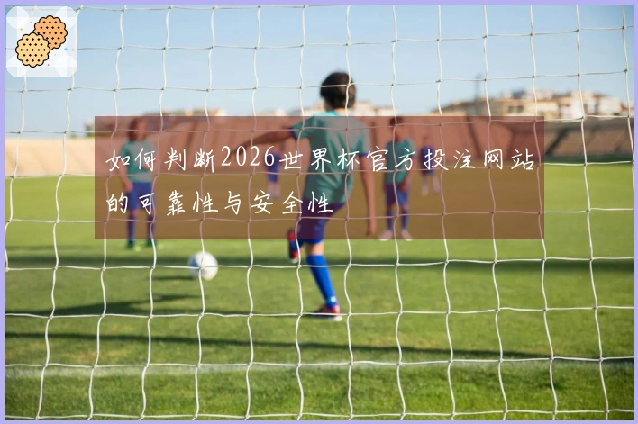 如何判断2026世界杯官方投注网站的可靠性与安全性