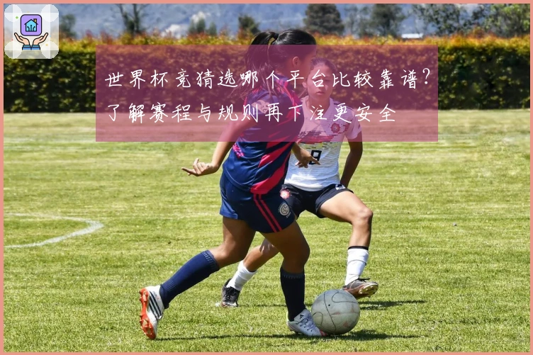 世界杯竞猜选哪个平台比较靠谱？了解赛程与规则再下注更安全